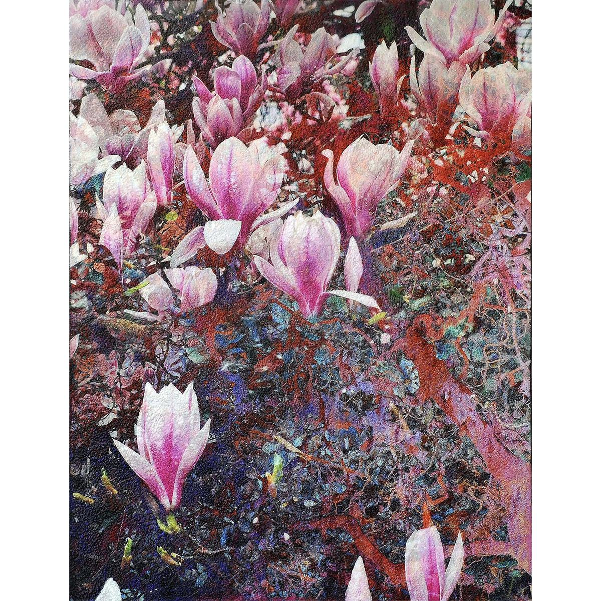 Blumen karin vermeer Blumen karin vermeer
