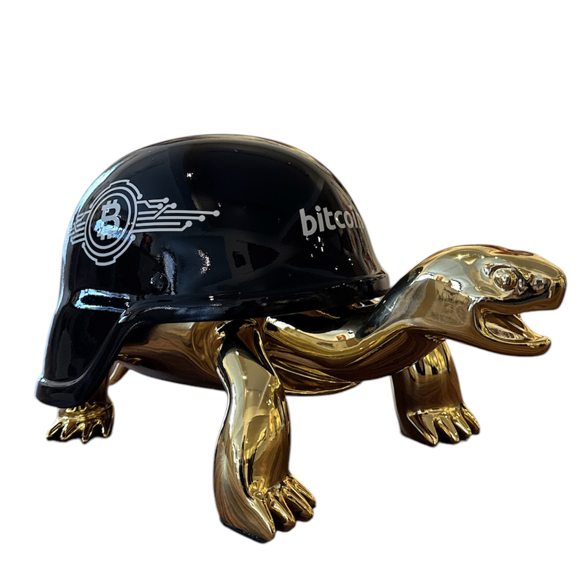 von Van Apple bitcoin turtle 1